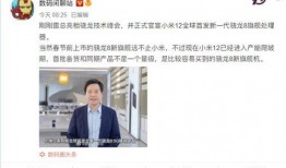 爆料真正的高手是谁啊视频,视频爆料中的神秘高手身份大揭秘